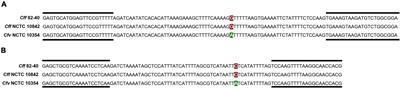 Molecular diagnosis of bovine genital campylobacteriosis using high-resolution melting analysis